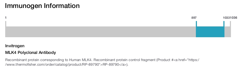 MLK4 Polyclonal Antibody
