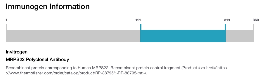 MRPS22 Polyclonal Antibody