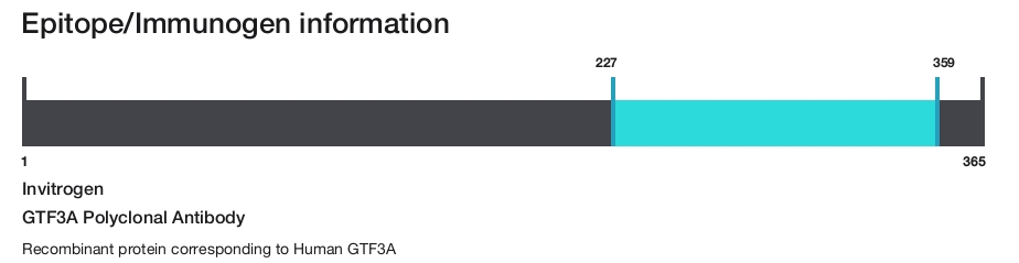 GTF3A Polyclonal Antibody