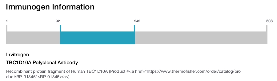 TBC1D10A Polyclonal Antibody