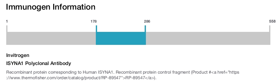 ISYNA1 Polyclonal Antibody