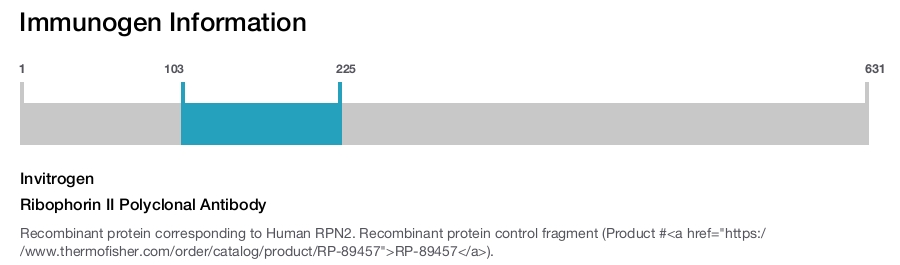 Ribophorin II Polyclonal Antibody