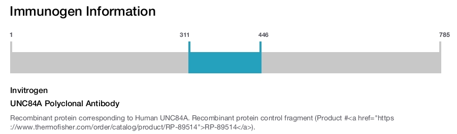 UNC84A Polyclonal Antibody
