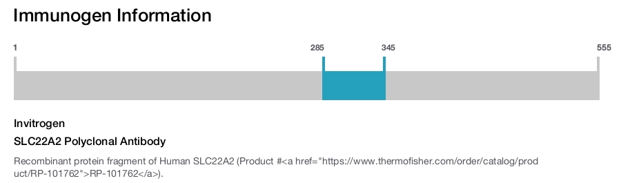SLC22A2 Polyclonal Antibody