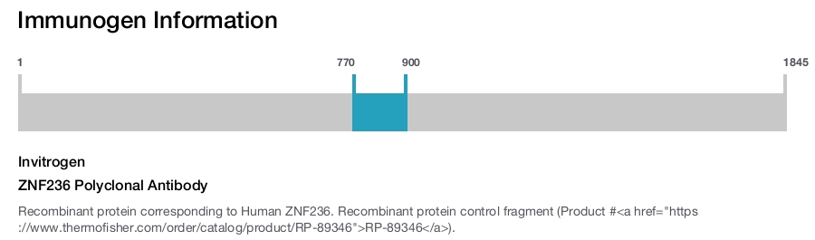 ZNF236 Polyclonal Antibody