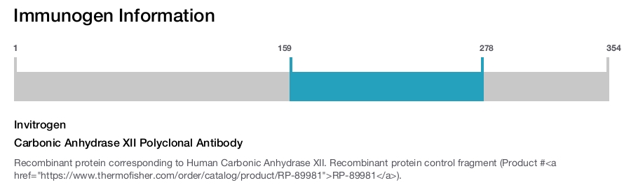 Carbonic Anhydrase XII Polyclonal Antibody