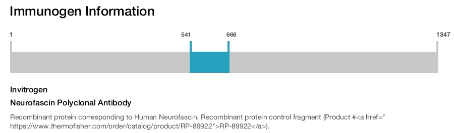 Neurofascin Polyclonal Antibody