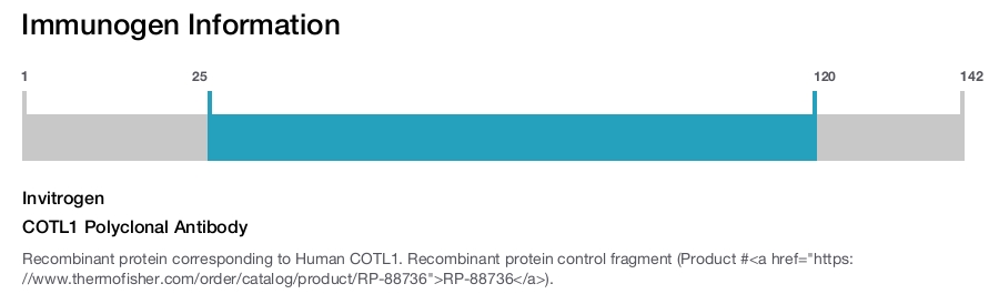 COTL1 Polyclonal Antibody