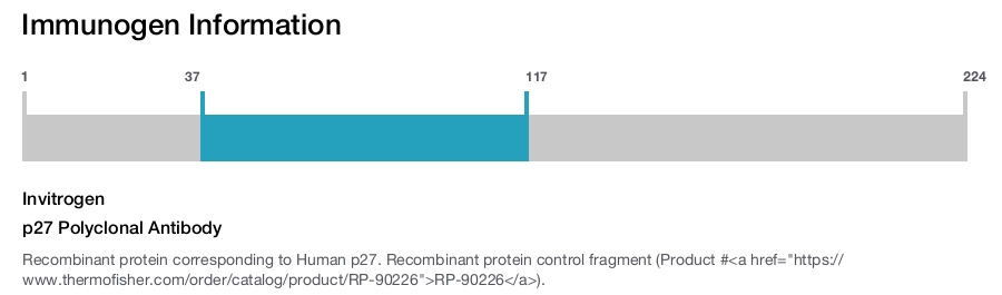 p27 Polyclonal Antibody