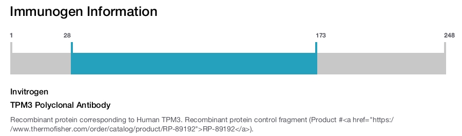 TPM3 Polyclonal Antibody