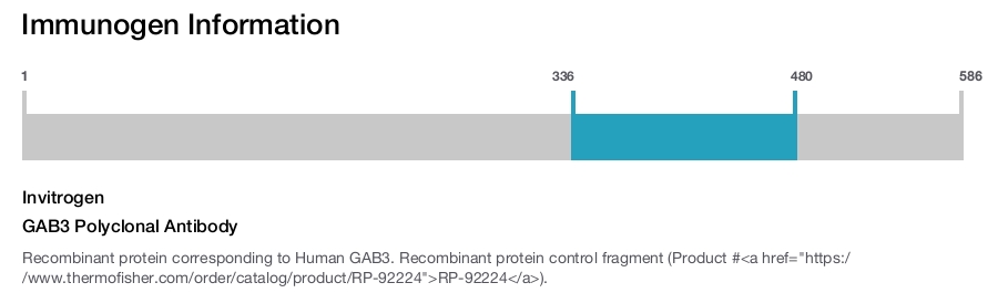 GAB3 Polyclonal Antibody