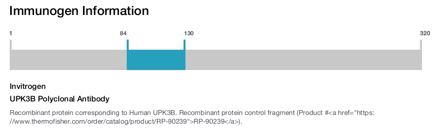 UPK3B Polyclonal Antibody