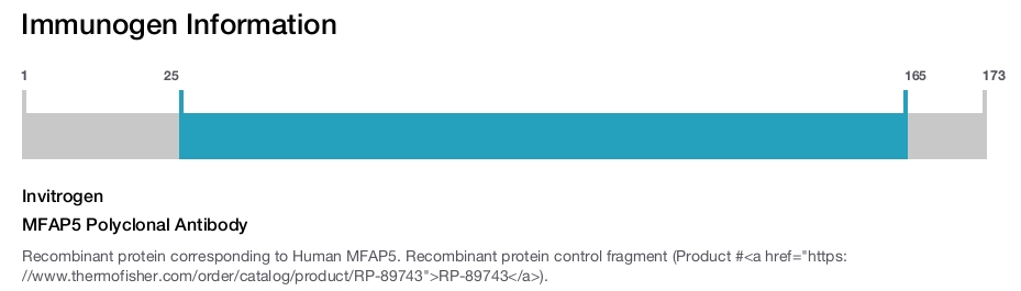 MFAP5 Polyclonal Antibody
