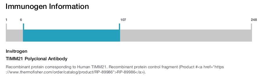TIMM21 Polyclonal Antibody