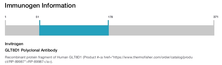 GLT8D1 Polyclonal Antibody