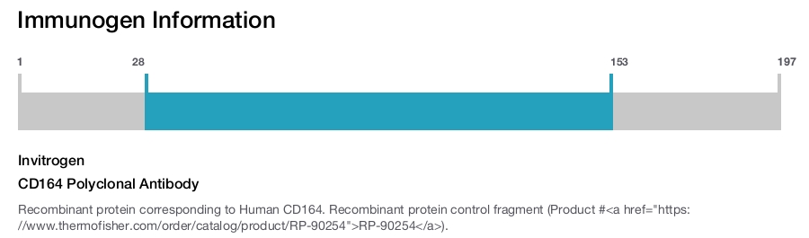 CD164 Polyclonal Antibody