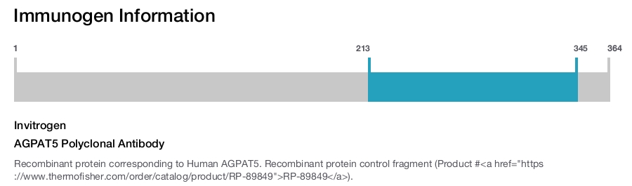 AGPAT5 Polyclonal Antibody