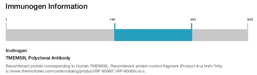 TMEM59L Polyclonal Antibody