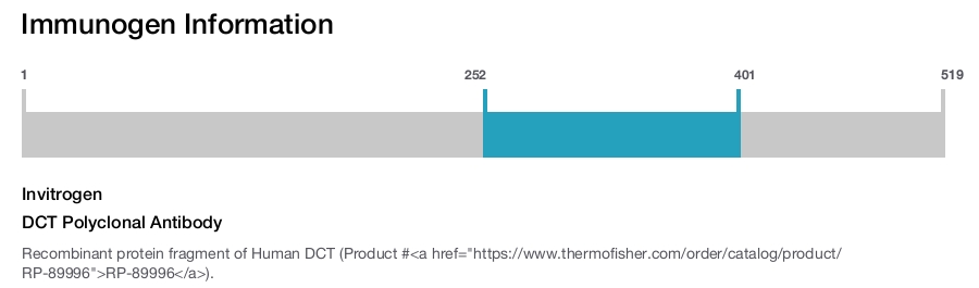 DCT Polyclonal Antibody