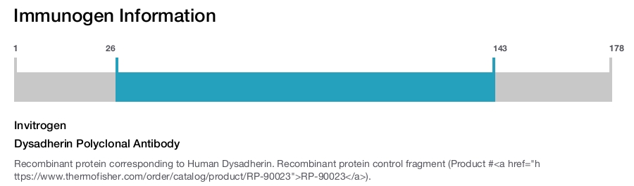 Dysadherin Polyclonal Antibody