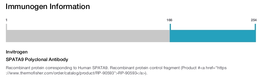 SPATA9 Polyclonal Antibody