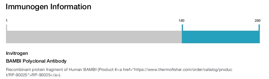 BAMBI Polyclonal Antibody