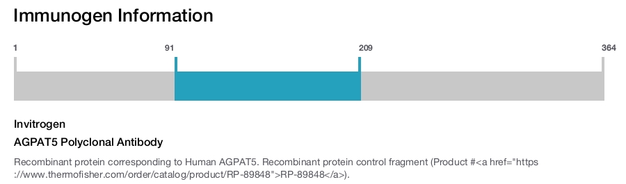 AGPAT5 Polyclonal Antibody