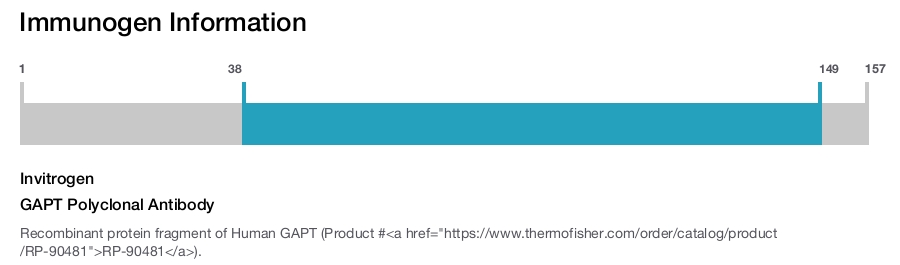 GAPT Polyclonal Antibody