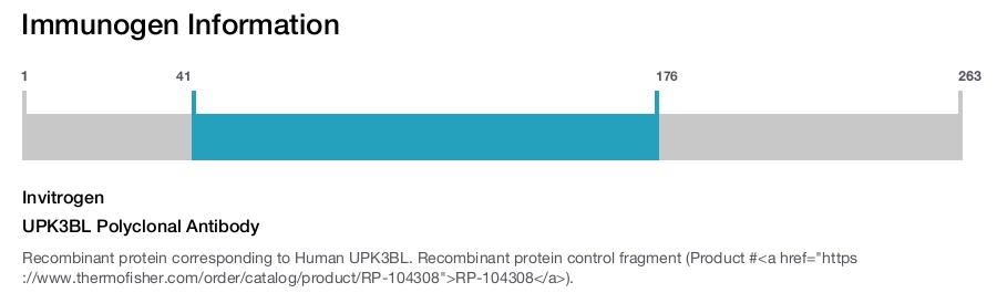 UPK3BL Polyclonal Antibody