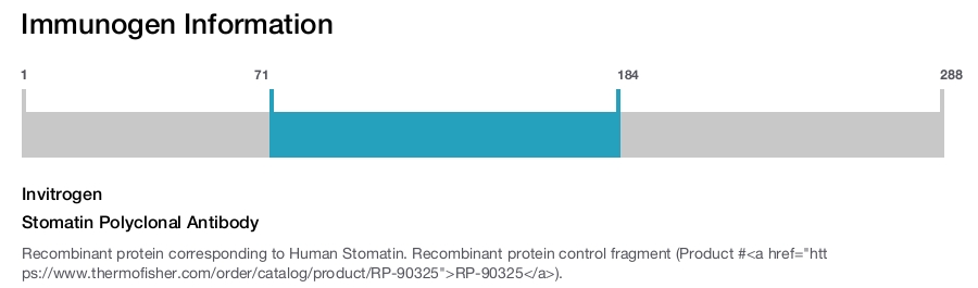 Stomatin Polyclonal Antibody