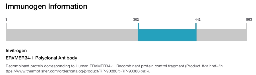 ERVMER34-1 Polyclonal Antibody