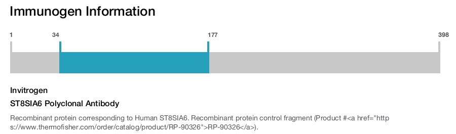 ST8SIA6 Polyclonal Antibody