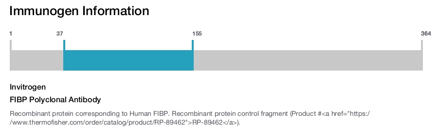 FIBP Polyclonal Antibody