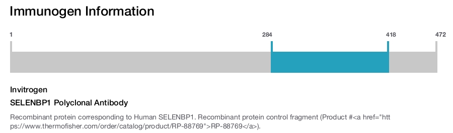 SELENBP1 Polyclonal Antibody