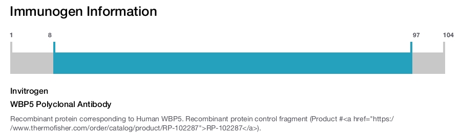 WBP5 Polyclonal Antibody
