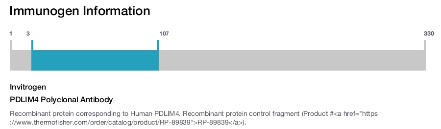 PDLIM4 Polyclonal Antibody