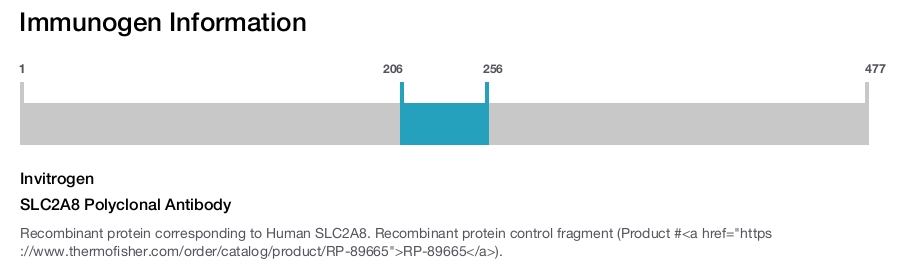 SLC2A8 Polyclonal Antibody