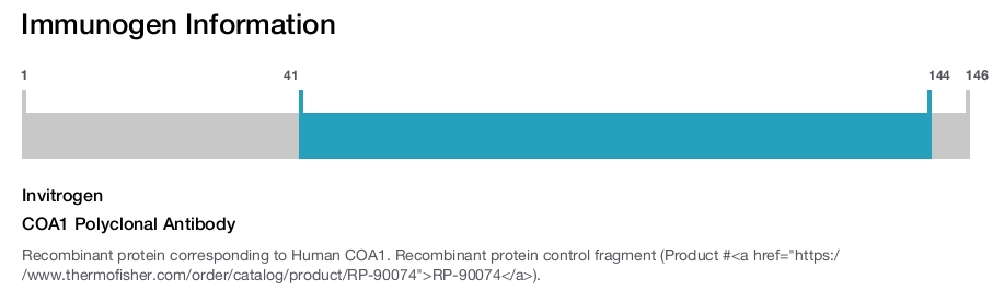 COA1 Polyclonal Antibody