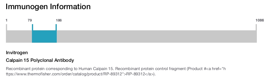 Calpain 15 Polyclonal Antibody
