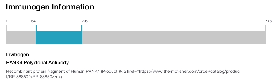 PANK4 Polyclonal Antibody