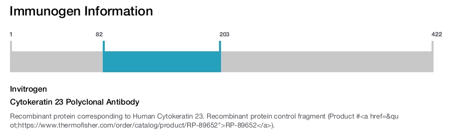 Cytokeratin 23 Polyclonal Antibody