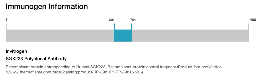 SGK223 Polyclonal Antibody