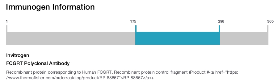 FCGRT Polyclonal Antibody