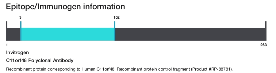 C11orf48 Polyclonal Antibody