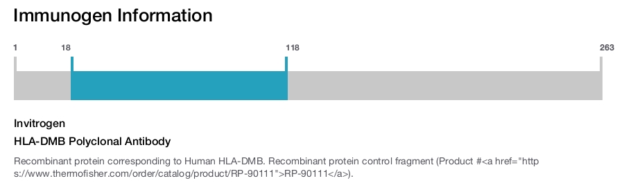 HLA-DMB Polyclonal Antibody