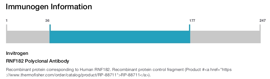RNF182 Polyclonal Antibody