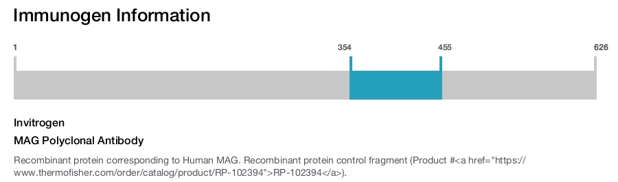 MAG Polyclonal Antibody