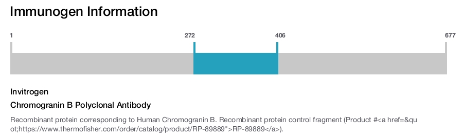 Chromogranin B Polyclonal Antibody