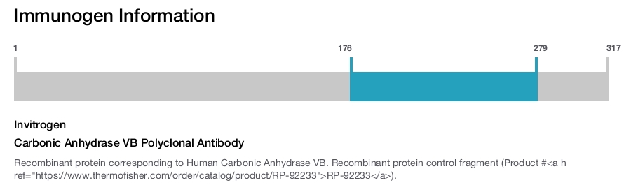 Carbonic Anhydrase VB Polyclonal Antibody