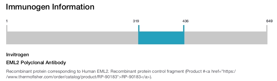 EML2 Polyclonal Antibody